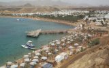 Фотография отеля Beach Albatros Sharm 4*, Шарм Эль Шейх, Египет