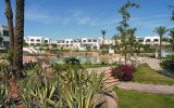 Фотография отеля Hilton Sharm Dreams Resort 5*, Шарм Эль Шейх, Египет